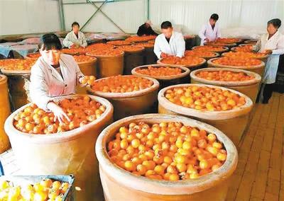 農(nóng)村致富的黃金之路,打造特色食品企業(yè)