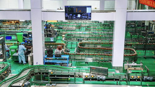 百年膠濟釋放發(fā)展新動能 淄博與大連產業(yè)的澎湃動力